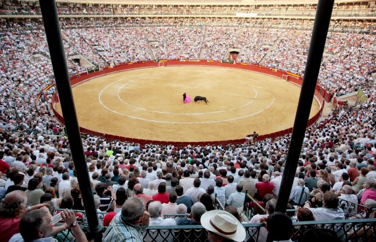 PLAZA DE TOROS DE VALENCIA 2008 1