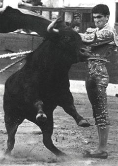 13335579_10205901201722519_50701967706364657_n