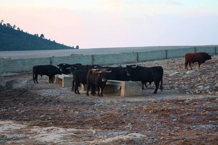 1966256_1576075132629631_8467572448352175195_o