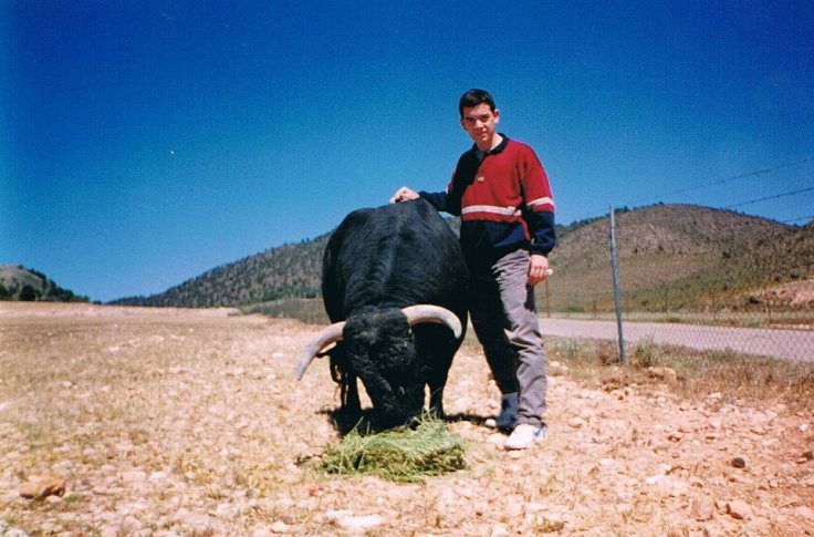 8243_1428743034029509_1587049592_n