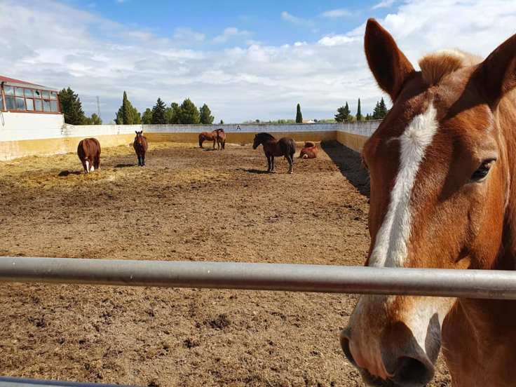 92357827_3216213385078421_2038594398706466816_n