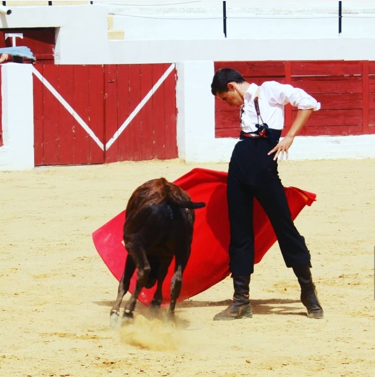 Screenshot_20200421-192332_Instagram