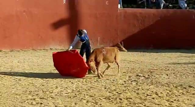 98187227_136424361344468_7814260101023268864_n