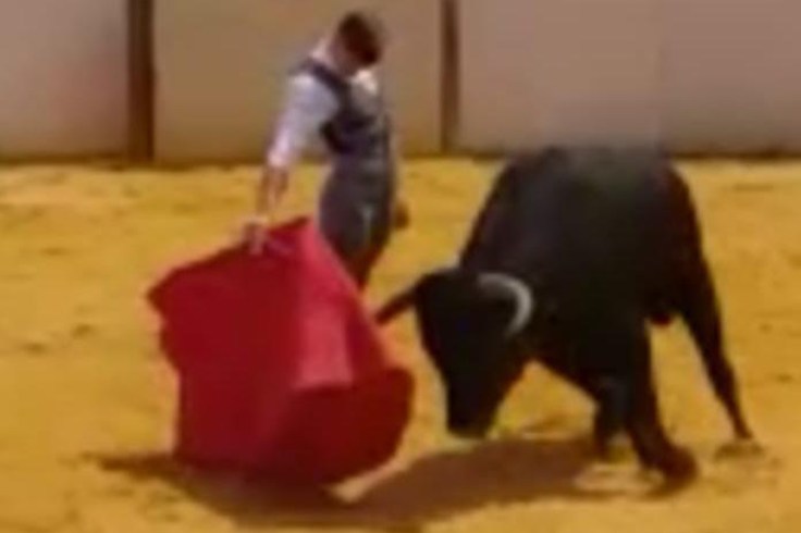 2b12b9ce-1b31-4fdc-a671-315b6de83a8b