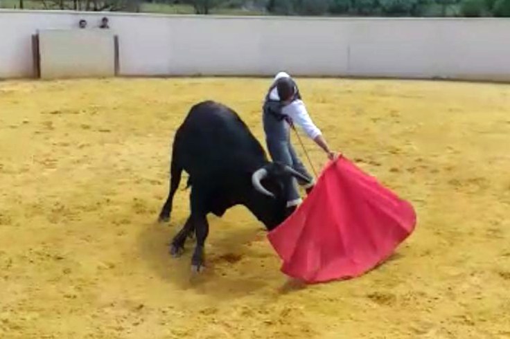 55306beb-6fa1-4162-9096-0128287d94bb