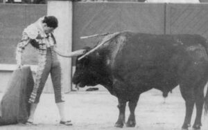 Pepín-Liria-300x188