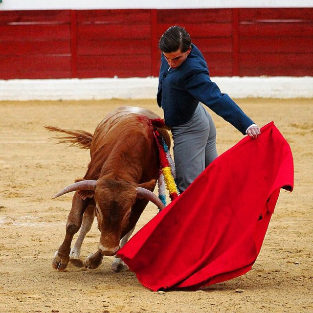 whatsapp-image-2019-05-21-at-16.48.12