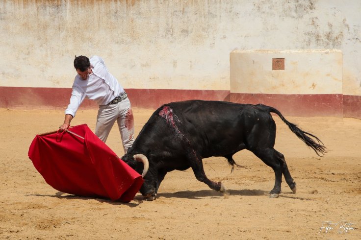 116540267_2931191443655906_1666649802749257847_o