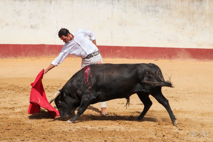 116578775_2931190626989321_207781218777366644_o