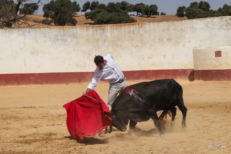 116582957_2931189140322803_659863614365226862_o