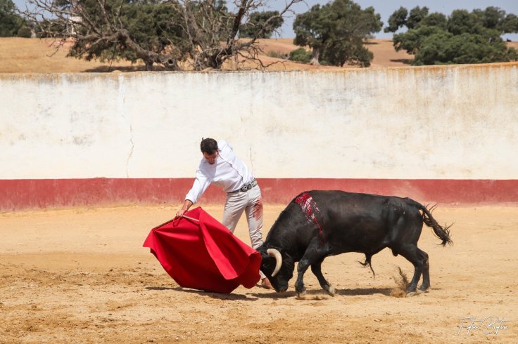 116588263_2931190756989308_8045908496184991920_o