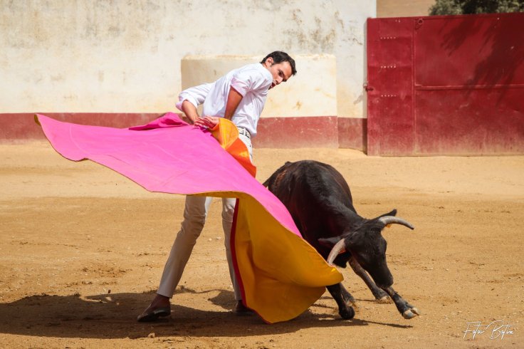 116602543_2931189876989396_1128188933520794892_o