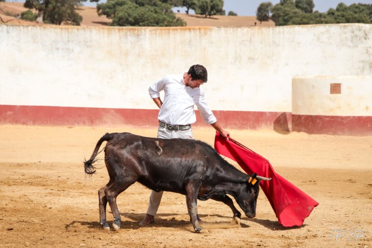 116628533_2931190426989341_3884981607446598365_o