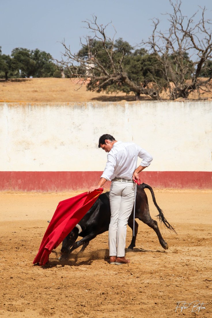 116678271_2931189073656143_6173307813439823672_o