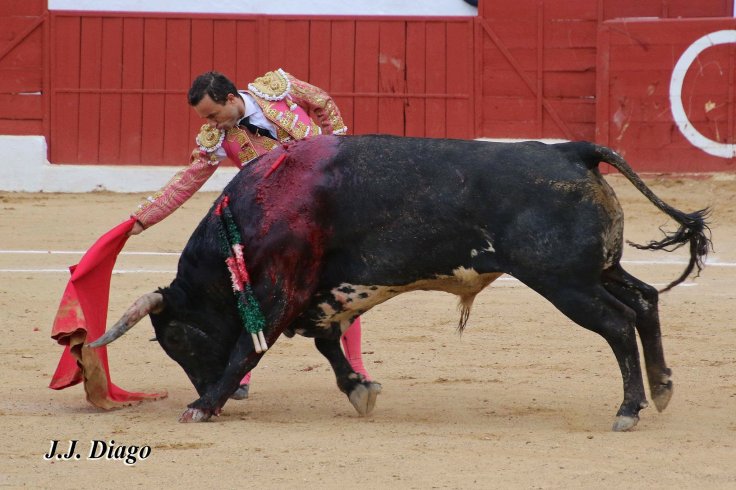 33087583_1923389484349126_3573665218384887808_o