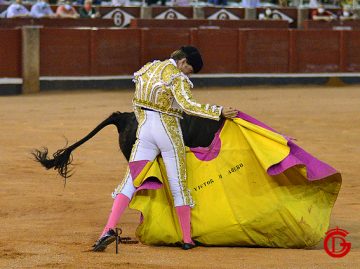 DSC_4874_huge_it_small_gallery